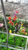 IMG-20200424-WA0024