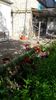 IMG-20200424-WA0025