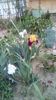 IMG-20200425-WA0000