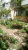 IMG-20200426-WA0001