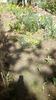 IMG-20200426-WA0002