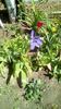 IMG-20200426-WA0004