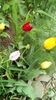 IMG-20200426-WA0029