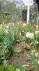 IMG-20200426-WA0035