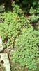 IMG-20200426-WA0066