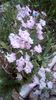 IMG-20200516-WA0027