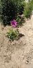 IMG-20200516-WA0038