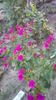 IMG-20200818-WA0001