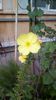 IMG-20200818-WA0008