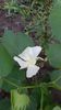 IMG-20200906-WA0001