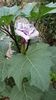 IMG-20200908-WA0001
