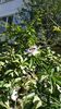 IMG-20200912-WA0001