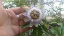 IMG-20200912-WA0003