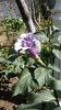 IMG-20200926-WA0005