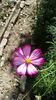 IMG-20200926-WA0006