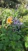 IMG-20200926-WA0010
