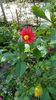 IMG-20200926-WA0011