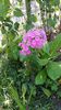 IMG-20200926-WA0012