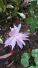 IMG-20200928-WA0000