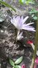 IMG-20200928-WA0001