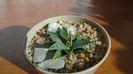 Agave utahensis