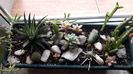 IMG-20200405-WA0011