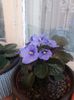 IMG-20200509-WA0009