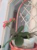 IMG-20200509-WA0012