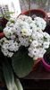 IMG-20200510-WA0001
