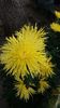 IMG-20201104-WA0011