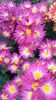 IMG-20201104-WA0008