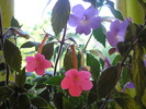 P6200292
