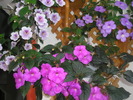 P7100350
