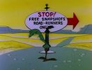 Road Runner and Wile E Coyote