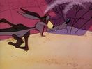Road Runner and Wile E Coyote