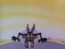 Road Runner and Wile E Coyote