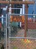IMG-20201123-WA0006