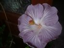 P1470256