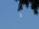 Luna in crestere in Pesti