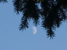 Luna in crestere in Pesti