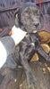 IMG-20181203-WA0002