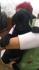 IMG-20181203-WA0008