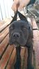 IMG-20181230-WA0022