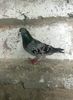 received_380758913053695
