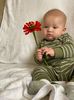 78EED476-2388-44A7-83FE-4DB8778D079F