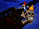 Ciocanitoarea Woody