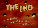 Ciocanitoarea Woody