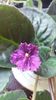 IMG-20200714-WA0008