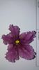 IMG-20201105-WA0021