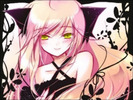 NAMICATDEMON[1]